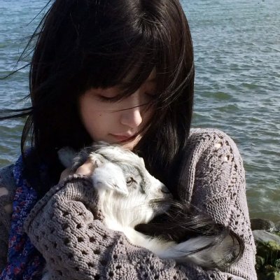 老鼠爱上猫