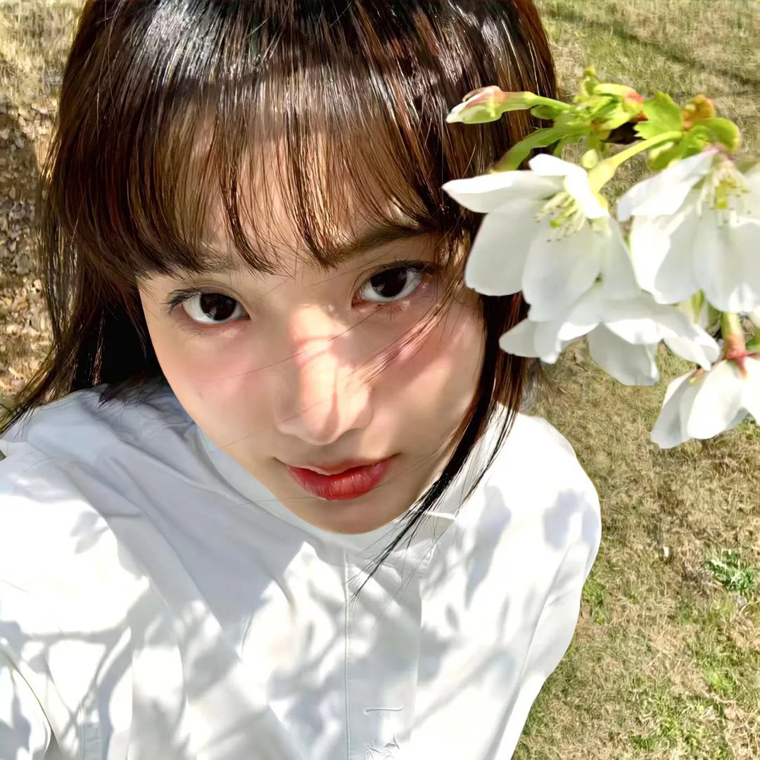 狮身人面像之谜